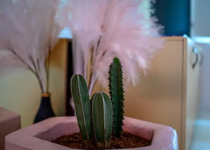 Canyon Santorini شقة *