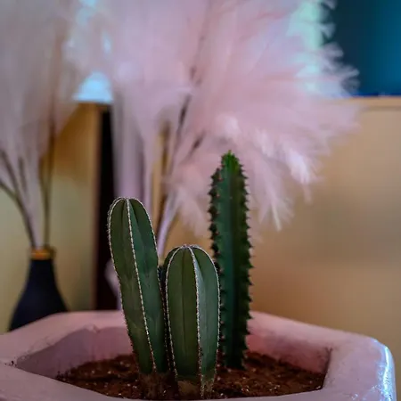 Canyon Santorini Appartement *